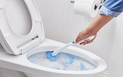 Shakti Toilet Cleaner